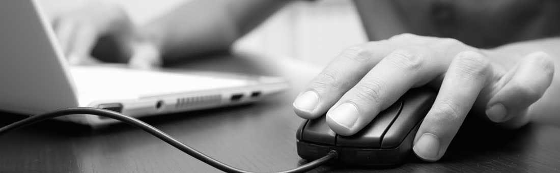 Search UX: Good Practices with No Results